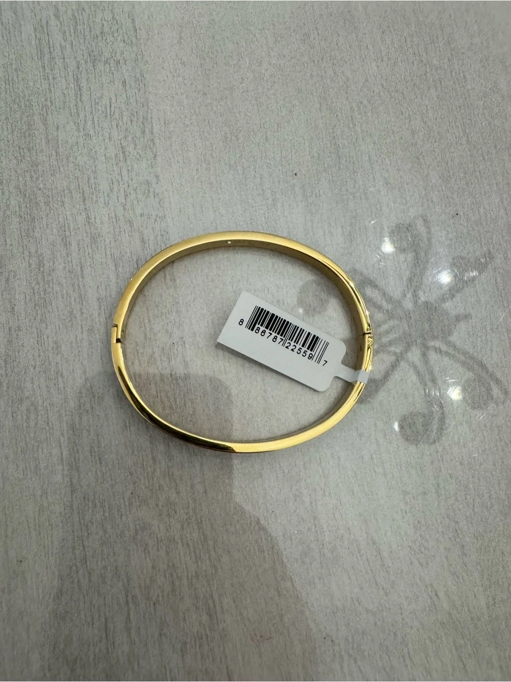 NWT Alex + Ani Resilient Spirit Inspirational Enamel Hinge Bangle Bracelet